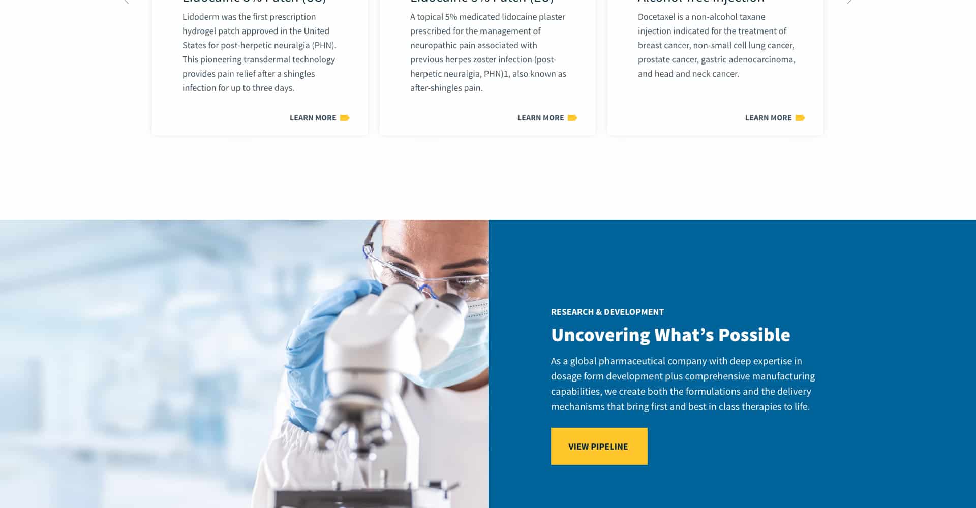 Homepage screenshot of Teikoku Pharma