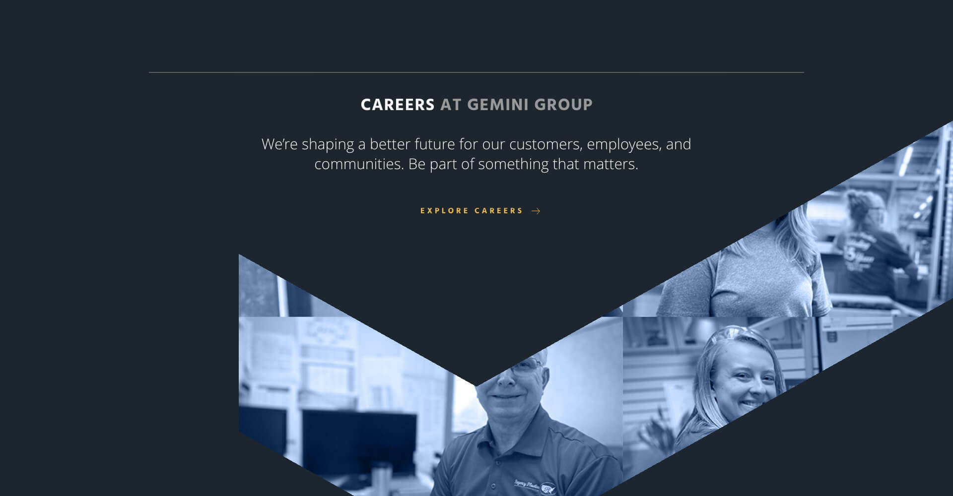 Homepage screenshot of Gemini Group