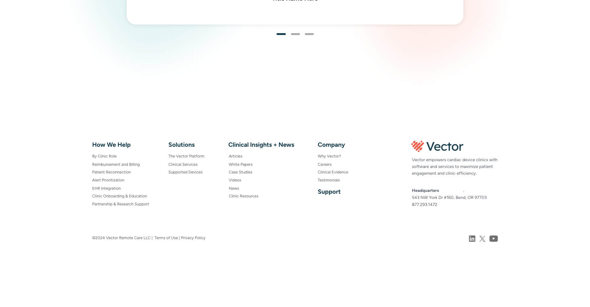 Homepage screenshot of Vector Remote Care